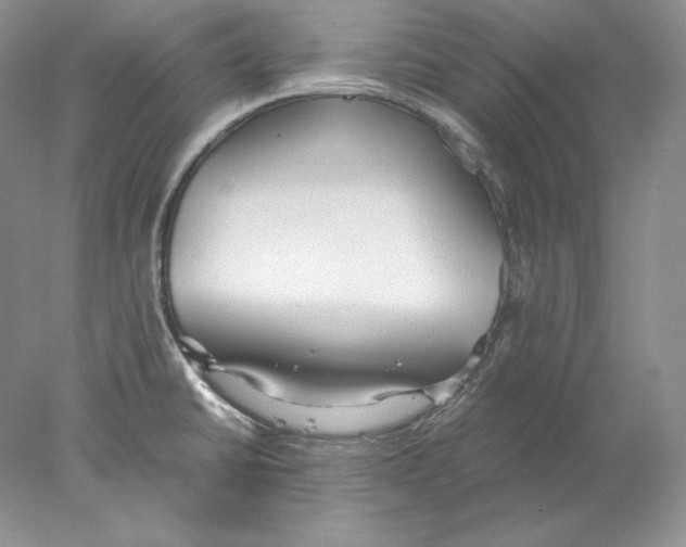 X0000077991430200611251400