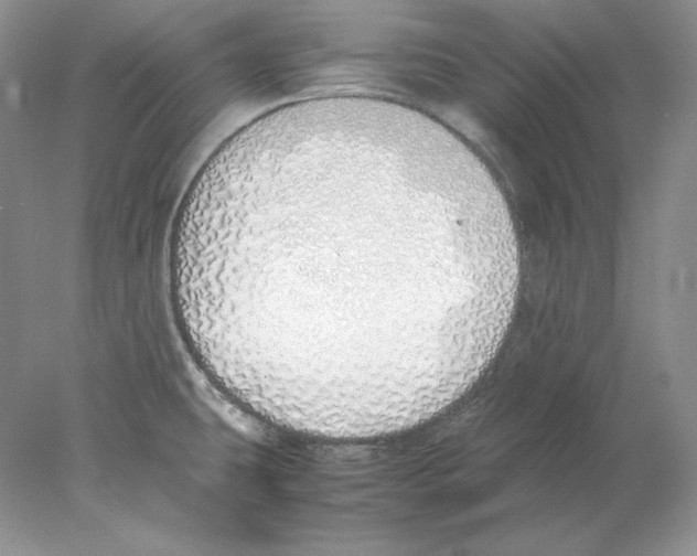 X0000077991431200611251400