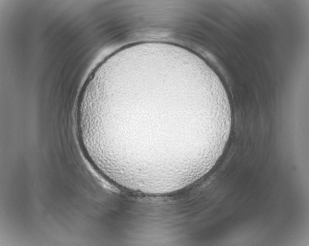 X0000077991432200611251400