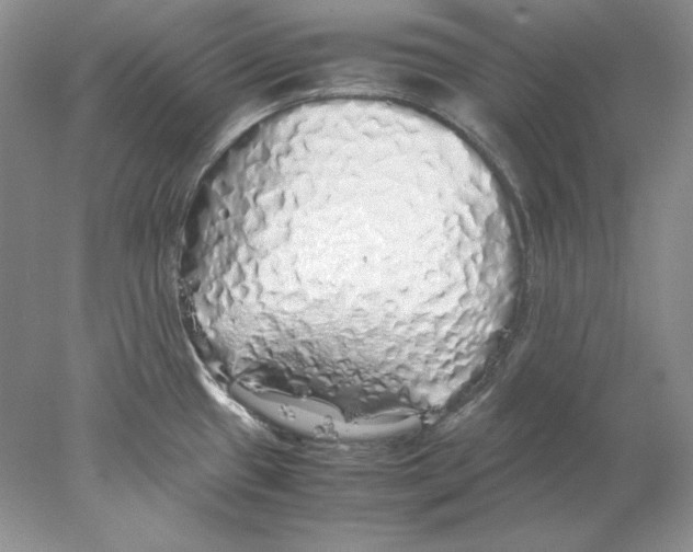 X0000077991433200611251400