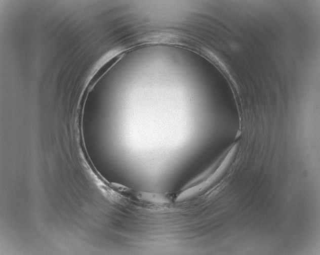 X0000077991434200611251400