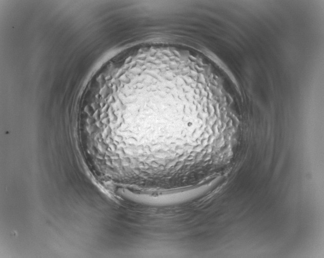 X0000077991437200611251400