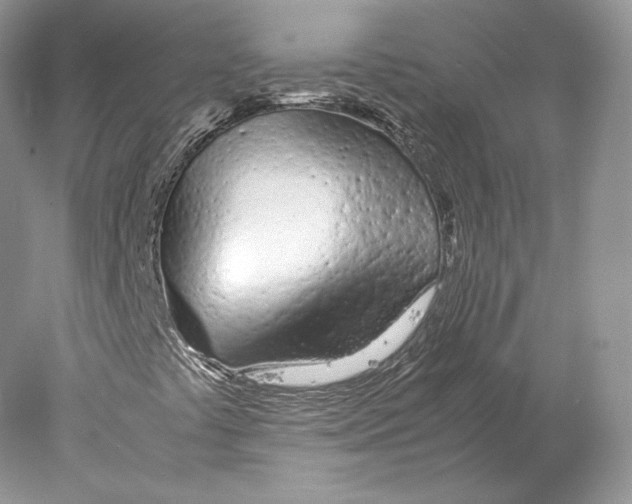 X0000077991441200611251359