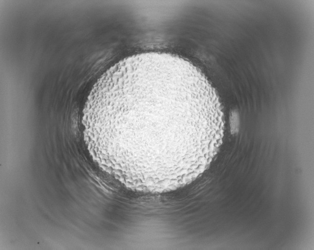 X0000077991444200611251359