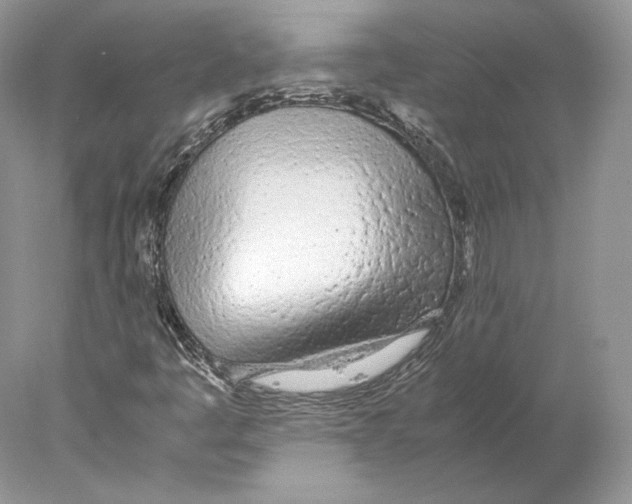 X0000077991445200611251359