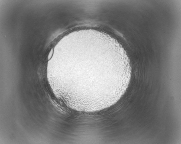 X0000077991448200611251359