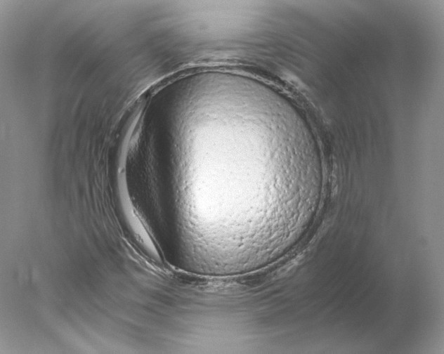 X0000077991449200611251359