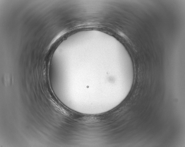 X0000077991450200611251359