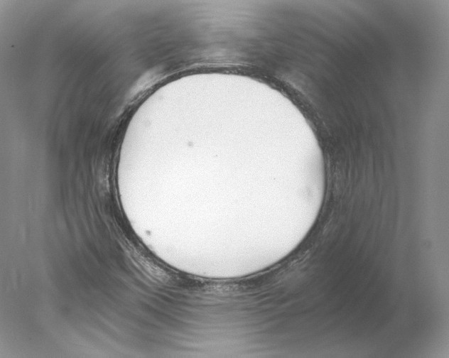 X0000077991451200611251359