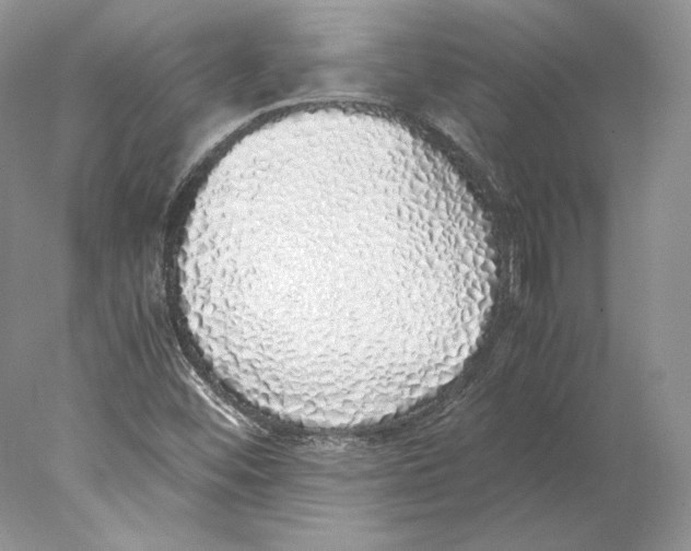 X0000077991452200611251359