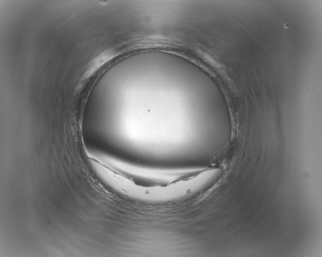 X0000077991453200611251359