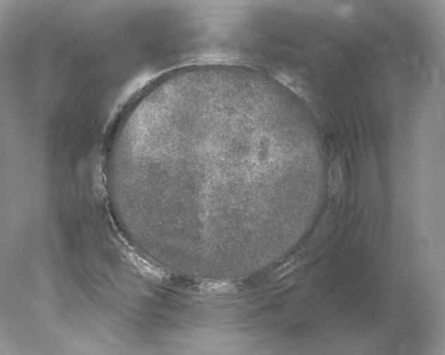 X0000077991454200611251359