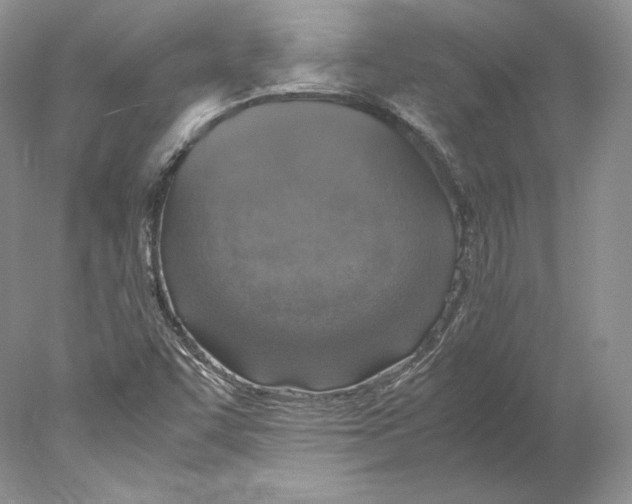 X0000077991455200611251359