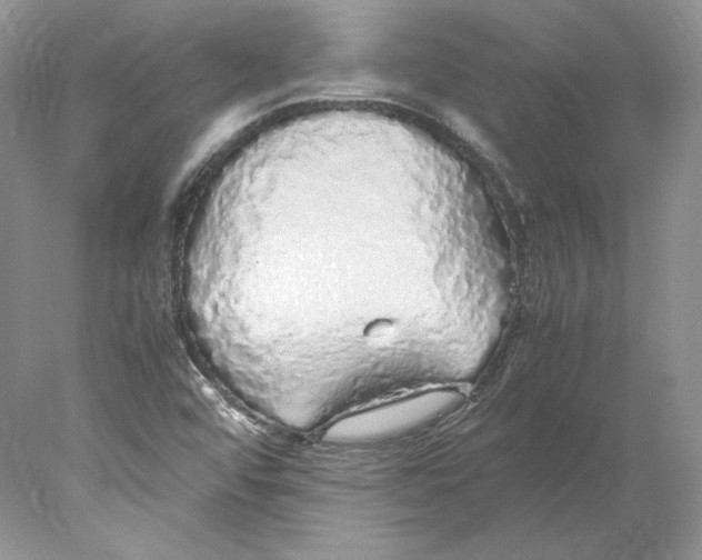 X0000077991456200611251359