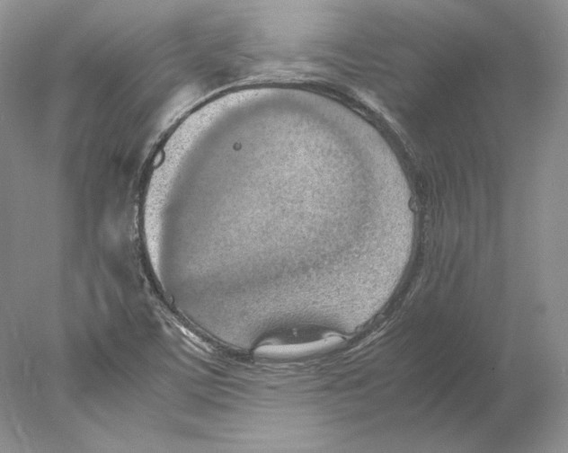 X0000077991459200611251359