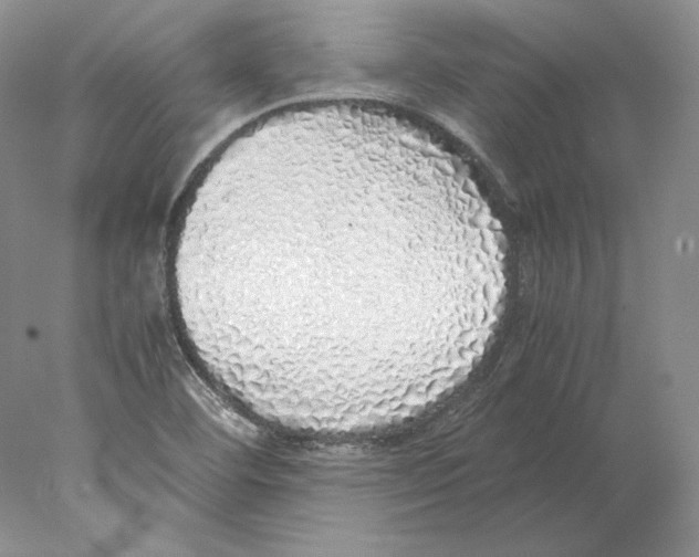 X0000077991460200611251359