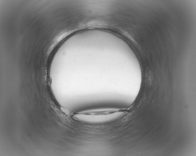X0000077991461200611251359