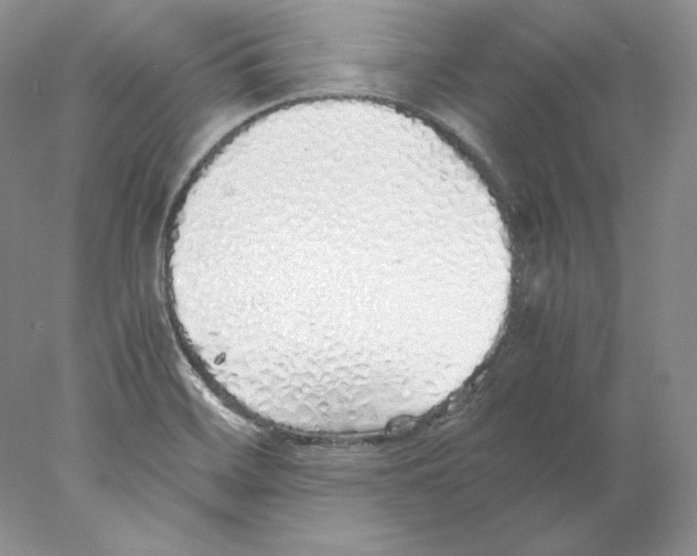 X0000077991468200611251358