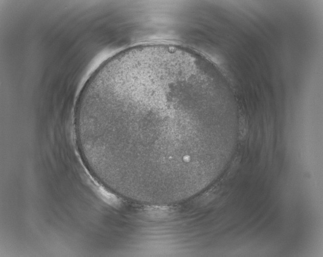 X0000077991470200611251358