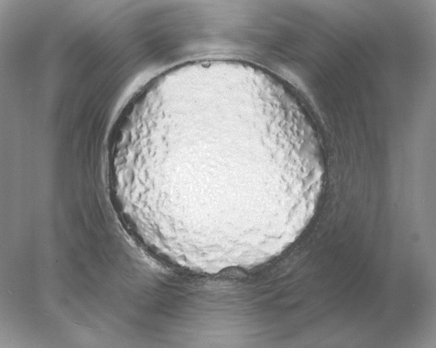 X0000077991472200611251358