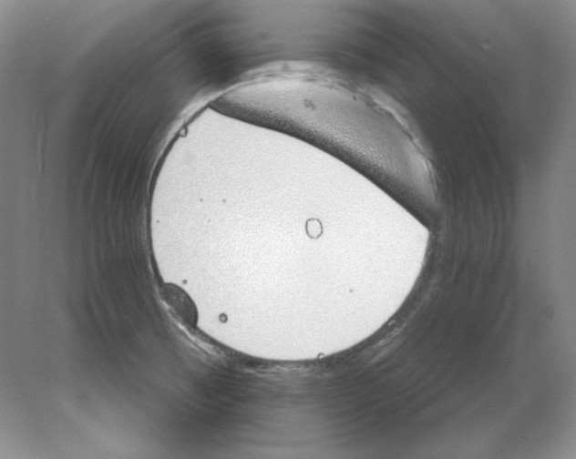 X0000077991473200611251358