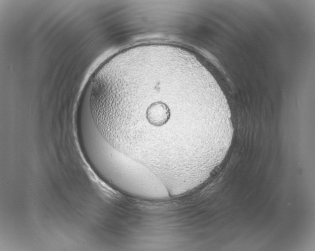 X0000077991474200611251358