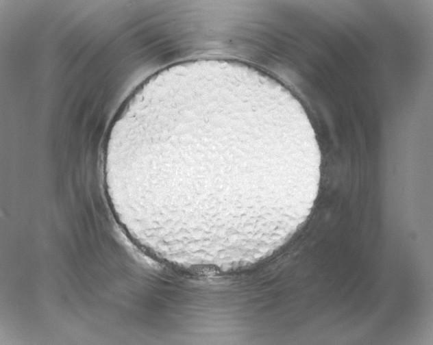 X0000077991476200611251358