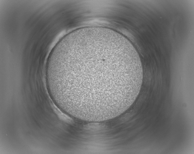 X0000077991478200611251358