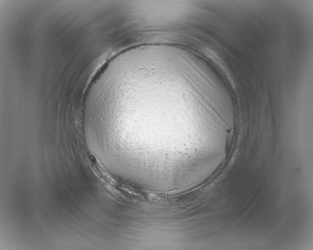 X0000077991481200611251358
