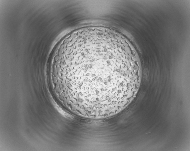 X0000077991482200611251358