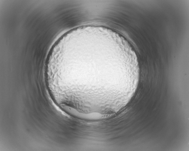 X0000077991484200611251358