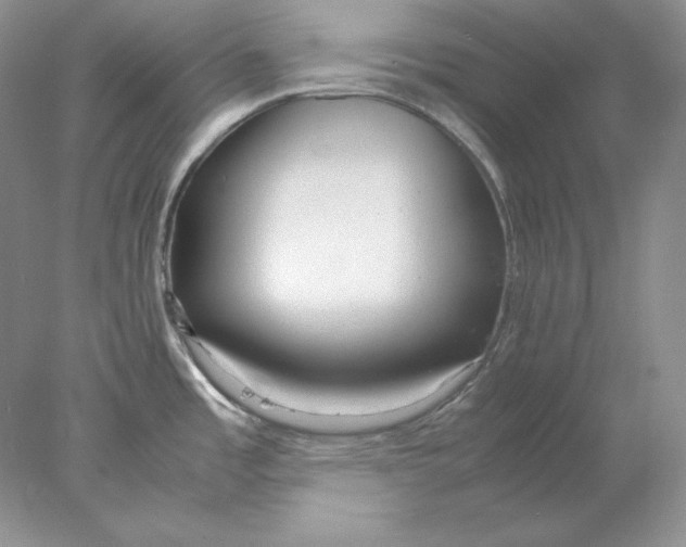 X0000077991485200611251358