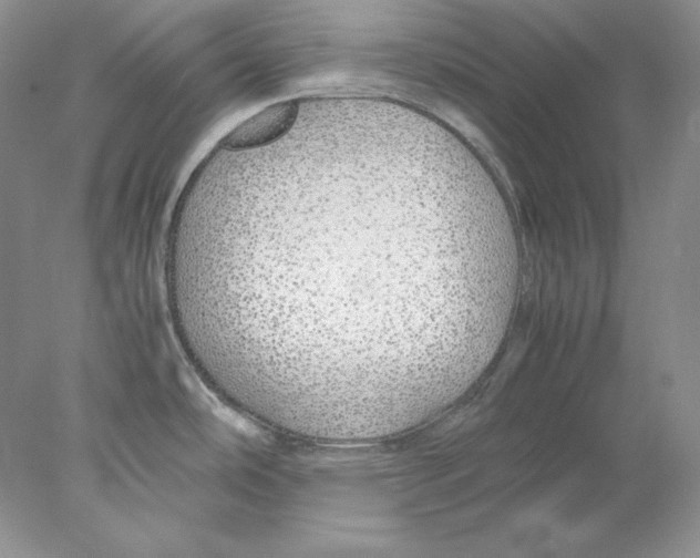 X0000077991486200611251358