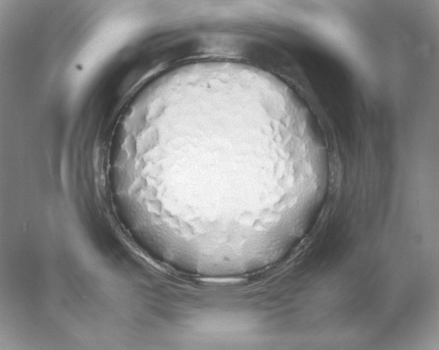 X0000077991487200611251358