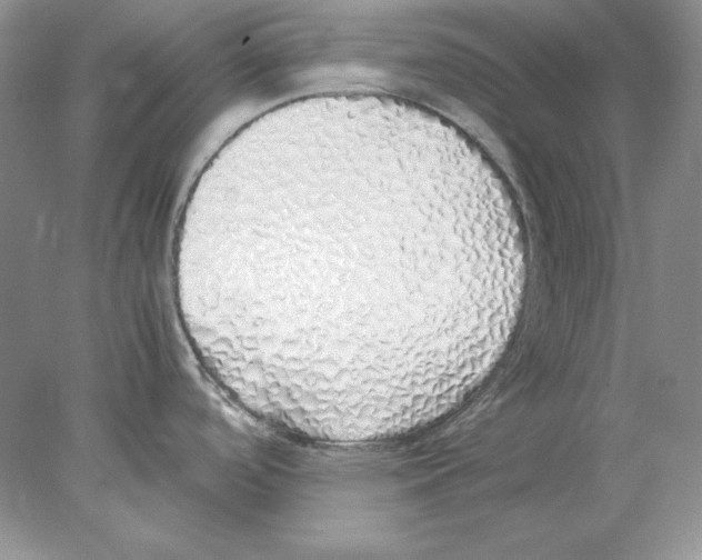 X0000077991488200611251358