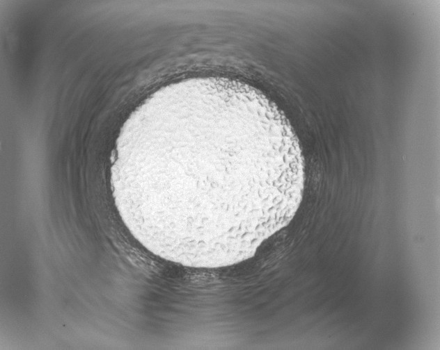 X0000077991489200611251357