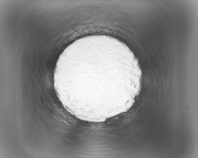 X0000077991490200611251357