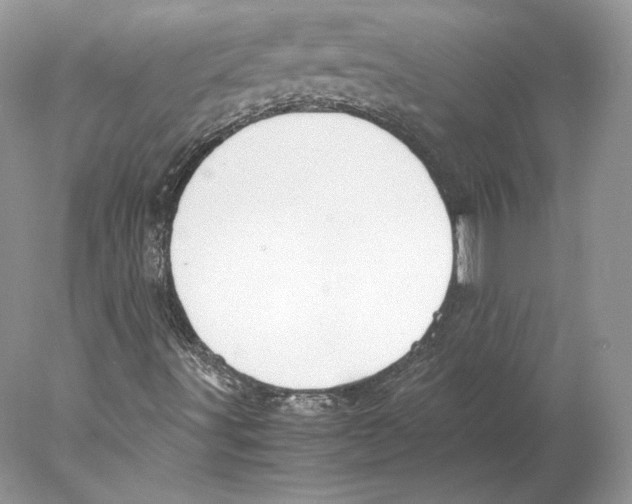 X0000077991491200611251357