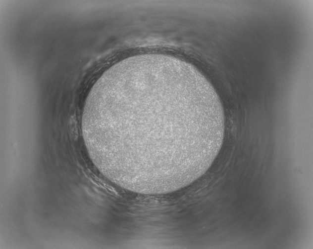 X0000077991493200611251357