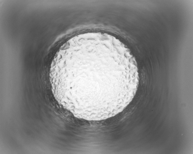 X0000077991494200611251357