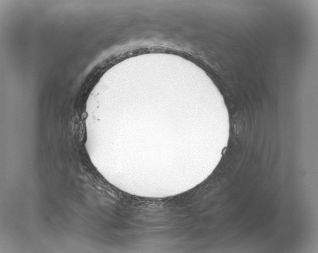 X0000077991495200611251357