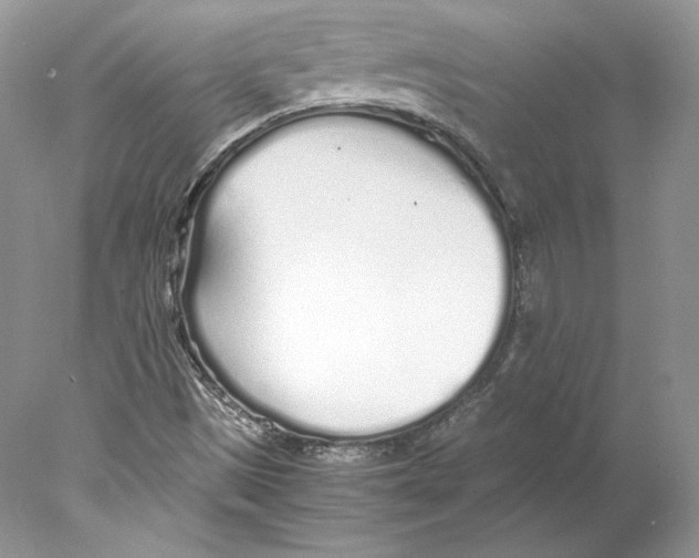 X0000077991497200611251357