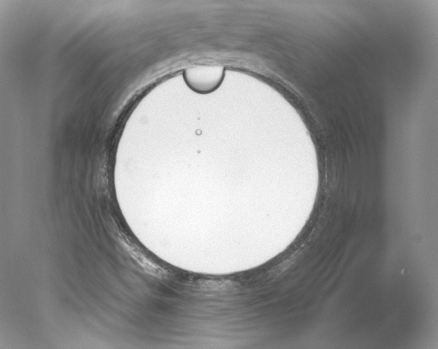 X0000077991498200611251357