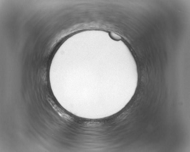 X0000077991499200611251358