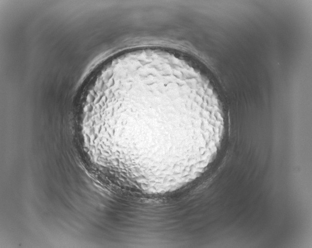 X0000077991501200611251358