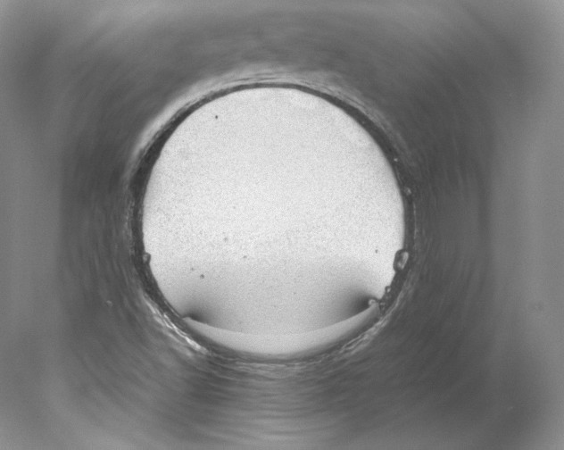 X0000077991502200611251358