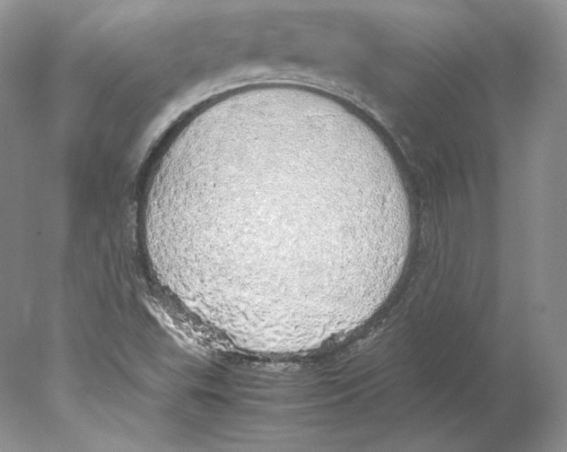 X0000077991503200611251358