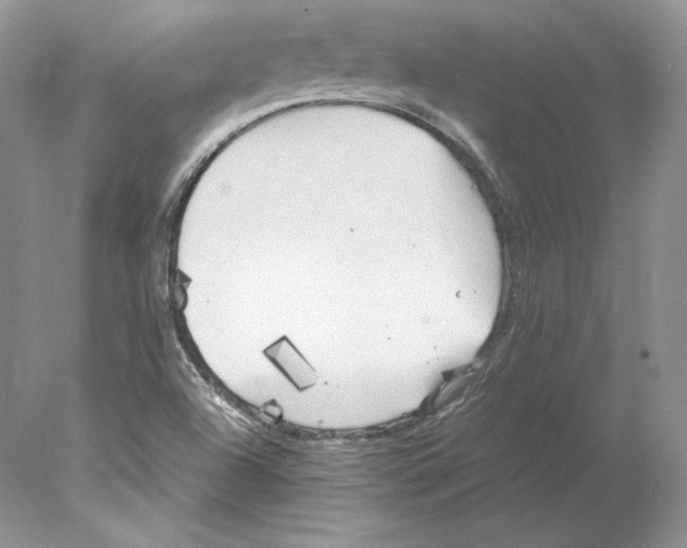 X0000077991504200611251358