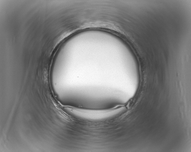 X0000077991505200611251358