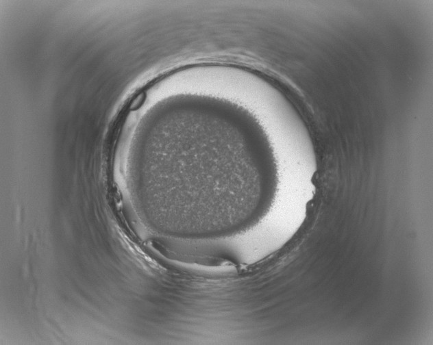 X0000077991506200611251358